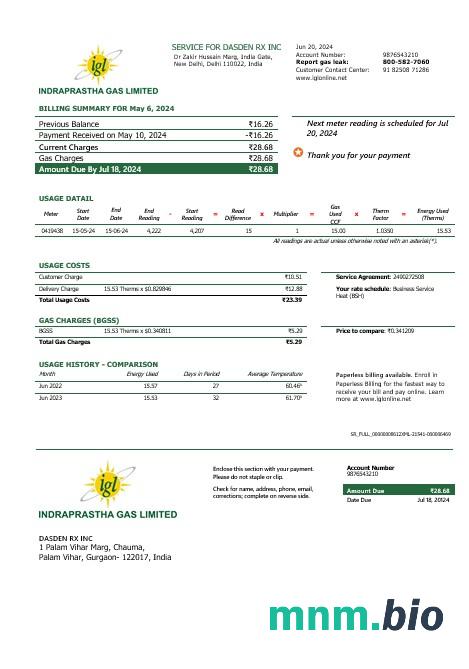 Indie Indraprastha Gas rachunek za usługi komunalne szablon w formacie Word i PDF